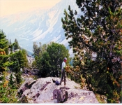 Montana1996  029